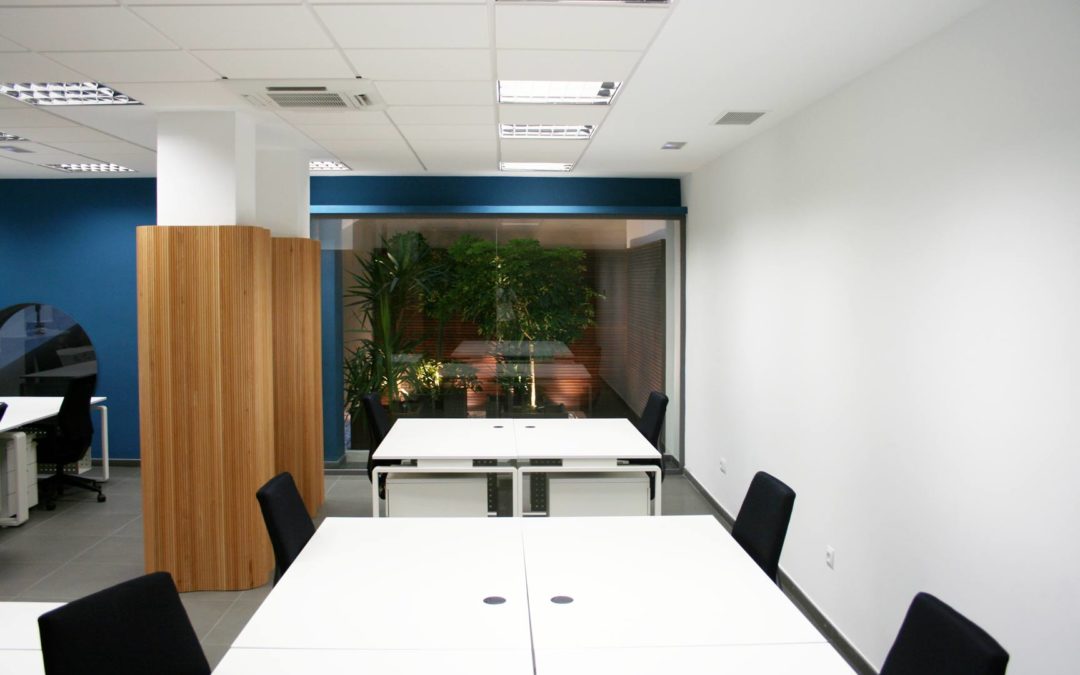 Oficinas Bolonia