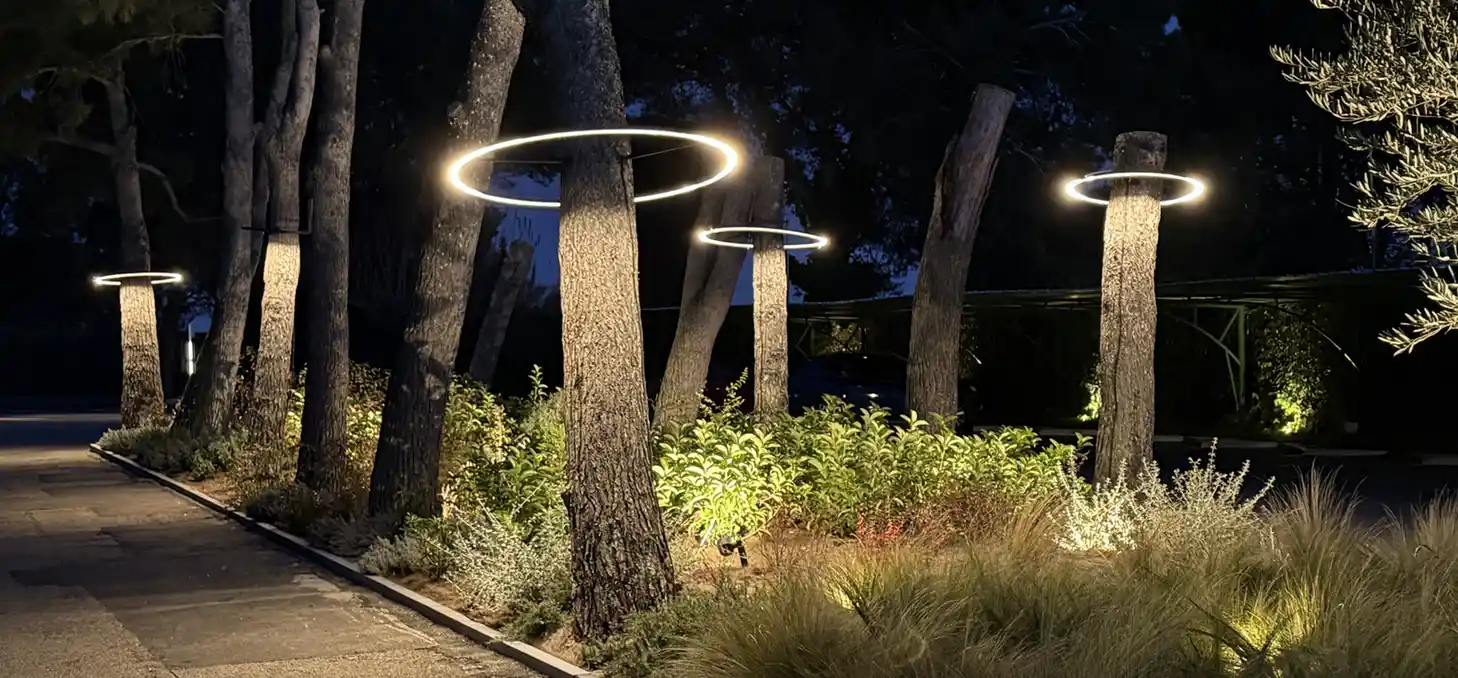 Aros de luz alrededor de los troncos de varios árboles en el jardín de Gayarre.